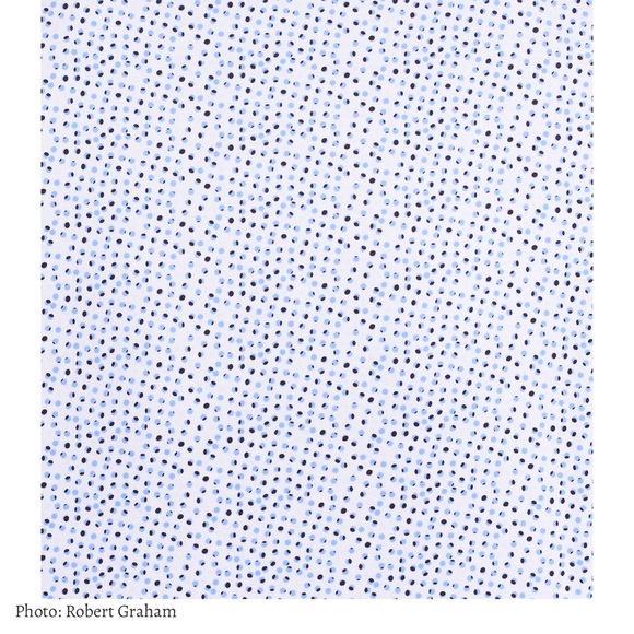 ROBERT GRAHAM ‘BECAN” TWO TONE DOT PRINT LONG SLEEVE SHIRT - Picture 6 of 16